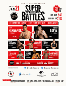 Super Boxing Battles